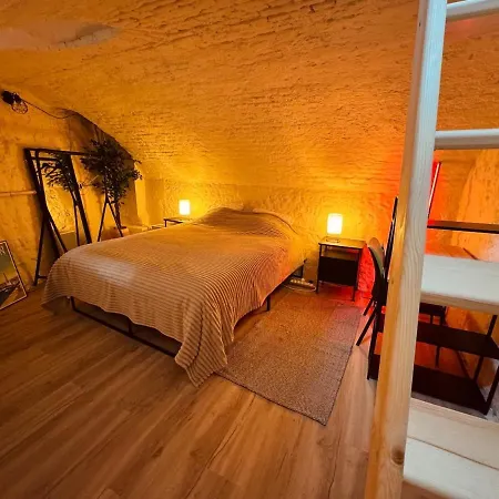 Cocon Atypique En Souplex Hyper Centre Apartment *